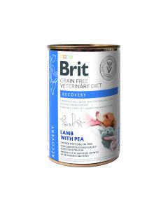 BRIT VETERINARY DIET DOG/CAT RECOVERY 400G